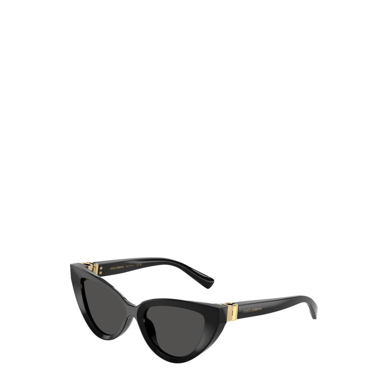 Dolce & Gabbana - Dolce & Gabbana Women's Sunglasses