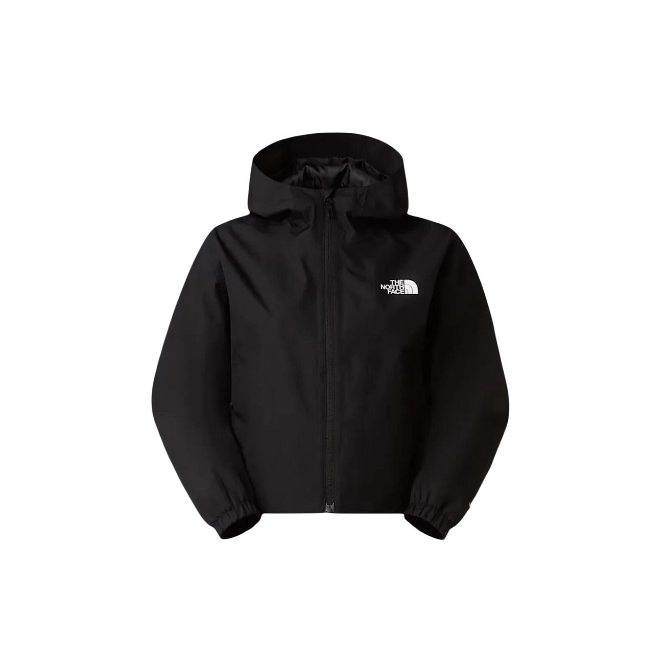 The North Face - The North Face Femme Jaquettes