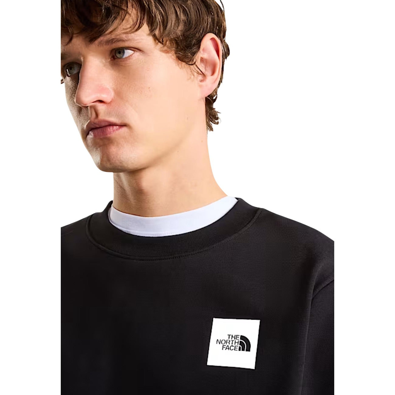The North Face - The North Face Homme Sweatshirts