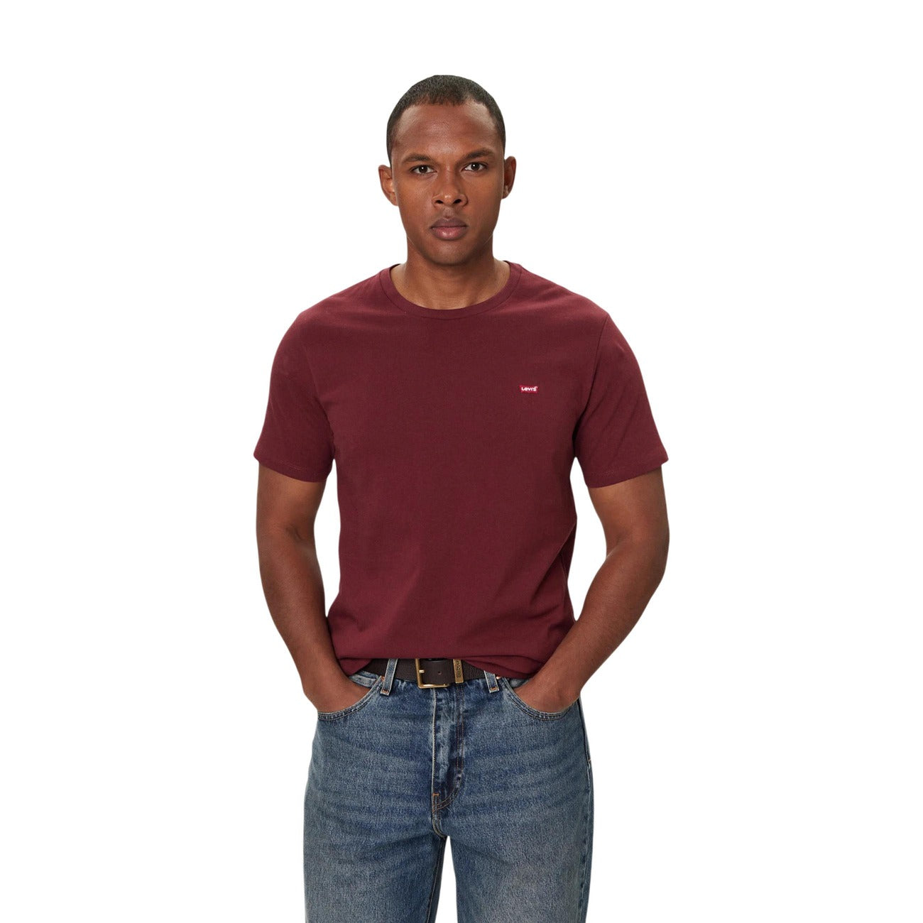Levi's - Levi's Men's T-Shirts