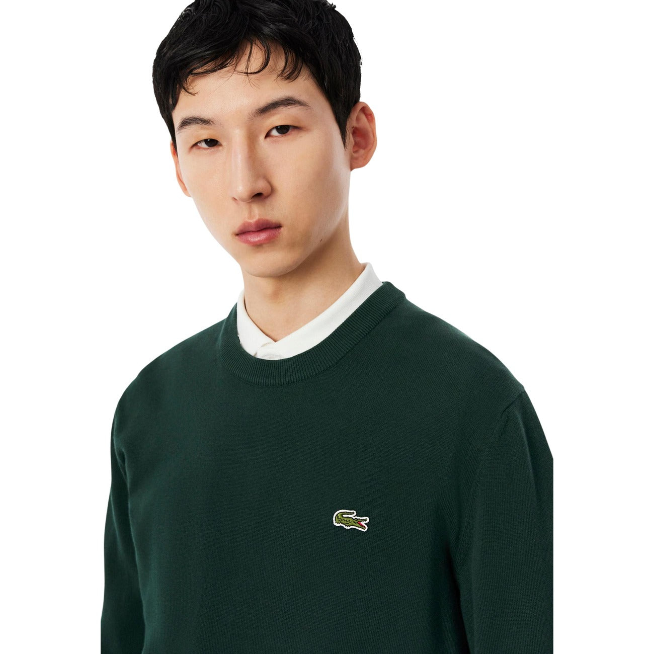 Lacoste - Lacoste Homme Pulls