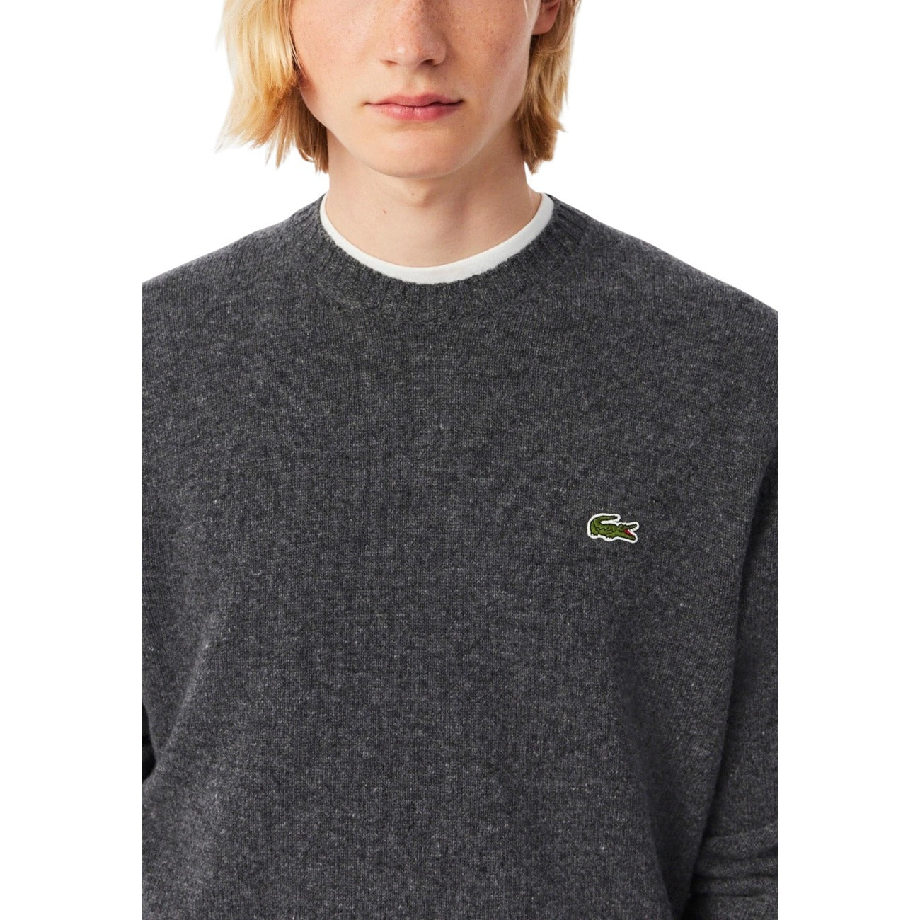 Lacoste - Lacoste Homme Pulls