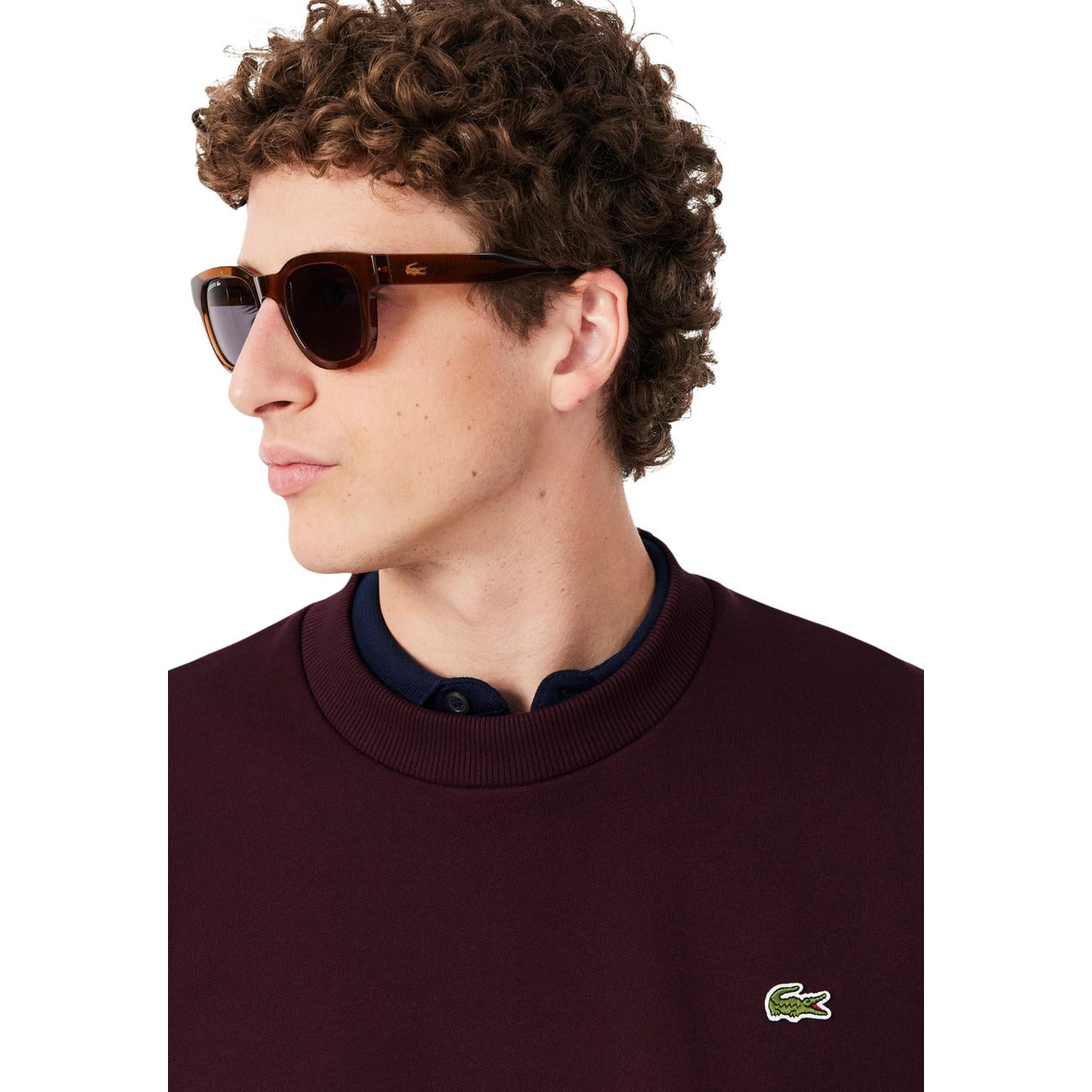 Lacoste - Lacoste Men's Sweatshirts